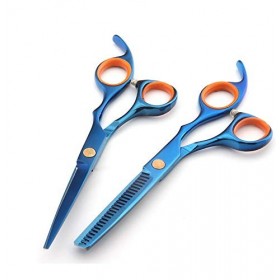 DYTWXG Ensemble de Coupe de Cheveux Professionnel avec Ciseaux de barbier - 6,5"- 1 Ciseaux de Coupe, 1 Ciseaux à effiler 2 