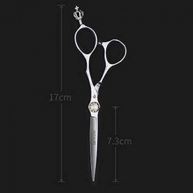 Ciseaux de coiffure professionnels ciseaux plats, ciseaux de coupe de cheveux pour salon de coiffure – 6" de longueur totale 