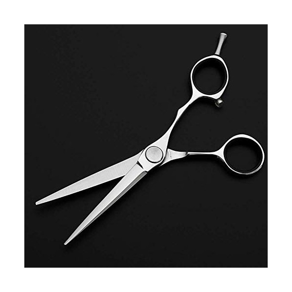 Ciseaux amincissants de coupe de cheveux Ciseaux de coiffure Ciseaux de coiffeur 6,0 pouces 440 C