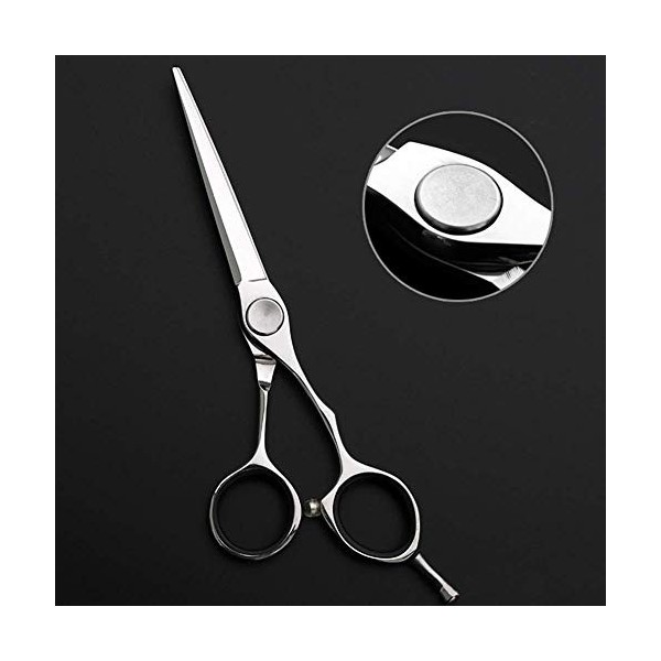 Ciseaux amincissants de coupe de cheveux Ciseaux de coiffure Ciseaux de coiffeur 6,0 pouces 440 C