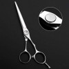 Ciseaux amincissants de coupe de cheveux Ciseaux de coiffure Ciseaux de coiffeur 6,0 pouces 440 C