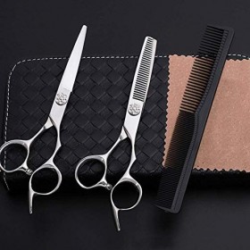 Ciseaux de Coiffure Professionnels de 6,0 Pouces Salon de Coiffure Coupe et Coupe de Cheveux Amincissement 440c Ciseaux à Hau...