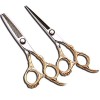 Outils de coupe des cheveux Ensemble de coiffure professionnel de coiffeur de 6 pouces, Ciseaux plaqués or professionnel 440C