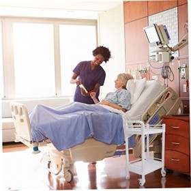 FOMIYES 1 PC Chariot Chariot De Salon De Beauté Chariot De Beauté Simple Petit Chariot Magasin De Beauté Chariot De Stockage 