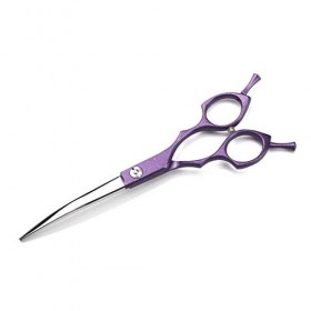 Japan Steel Ciseaux de Coiffure Professionnels Ciseaux de Coiffeur Professionnel Ensemble Ciseaux de Coupe de Cheveux Ciseaux