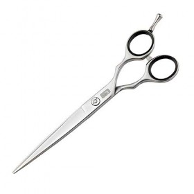 DYTWXG Ciseaux de Coiffeur Ciseaux de Coupe de Cheveux 6,5 Pouces Ciseaux de Coiffure avec Dents de scie en V - Ciseaux de Co