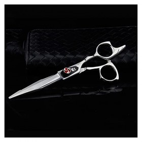 DYTWXG Ciseaux de Coiffeur, Ciseaux de Coiffure, Franges de Coiffure Professionnelles Coupe Droite cisailles de Coupe de Chev