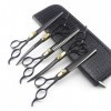 Kit doutils de Coupe de Coiffeur de Coupe de Cheveux de Chat Outil de Coupe de Coiffeur danimal de Chaton Noir