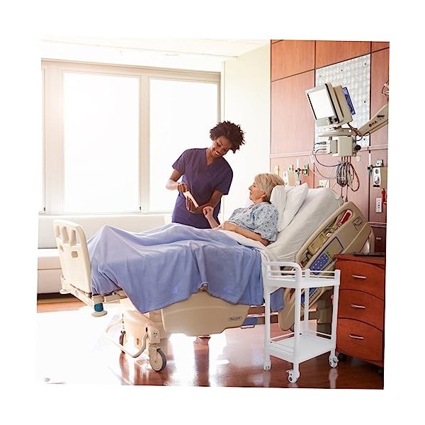 FRCOLOR 1 PC Chariot Chariot De Salon De Beauté Chariot De Beauté Chariot Pour Le Stockage De Magasin Petit Chariot Étagère D