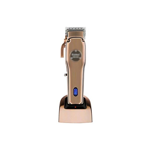 YWSZJ Torcipe de Cheveux Professionnelle for Hommes Razor électrique Rechargeable Tondeuse Coiffeuse Coiffeuse de Cordon de C