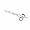 Jaguar Gold Line 4030363125252 Ciseaux de coiffeur Heron 14 cm