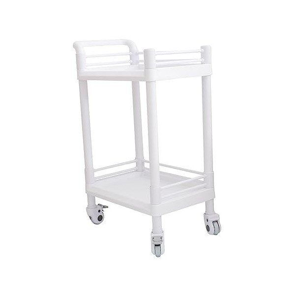 minkissy 1 Pc Chariot De Salon De Beauté Dessertes Chariot Double Couche Petit Chariot Polyvalent Chariot Instrumental Chario