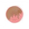 Maybelline Dream Sun Poudre Bronzante avec Blush 10 bronzed tropics