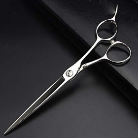 RIJPEX Ciseaux, Ciseaux Salon de Coiffure Professionnel Ciseaux de Coiffure 6,5 Pouces 7 Pouces Lame Mince Coupe Plate Ciseau