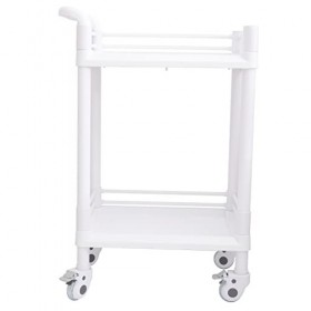 Beaupretty 1 Pc Chariot De Salon De Beauté Dessertes Petit Chariot Polyvalent Chariot Instrumental Chariot Double Couche Char