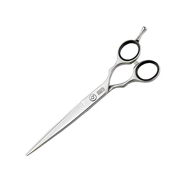 DYTWXG Ciseaux de Coiffeur Ciseaux de Coupe de Cheveux 6,5 Pouces Ciseaux de Coiffure avec Dents de scie en V - Ciseaux de Co