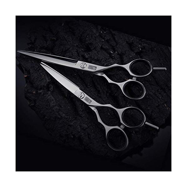 DYTWXG Ciseaux de Coiffeur Ciseaux de Coupe de Cheveux 6,5 Pouces Ciseaux de Coiffure avec Dents de scie en V - Ciseaux de Co