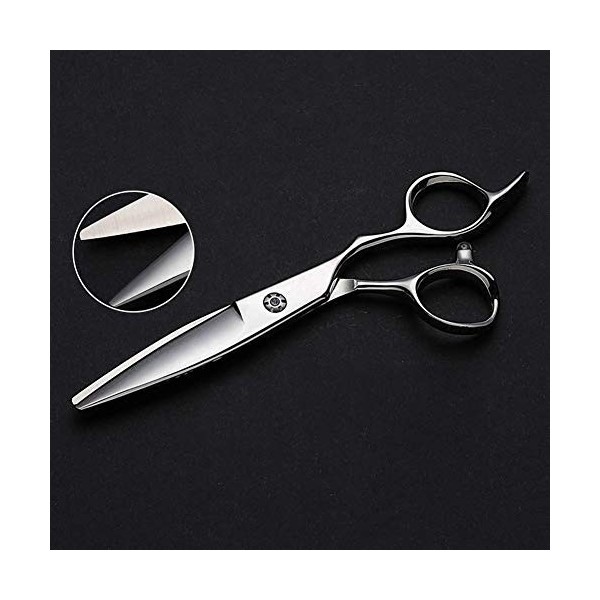 Ciseaux de Coupe de Cheveux Professionnels de Haute qualité – Ciseaux de Coiffeur 6,0" pour Couper 9CR pour Coiffeur et Salon