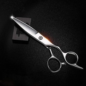 Ciseaux de Coupe de Cheveux Professionnels de Haute qualité – Ciseaux de Coiffeur 6,0" pour Couper 9CR pour Coiffeur et Salon...