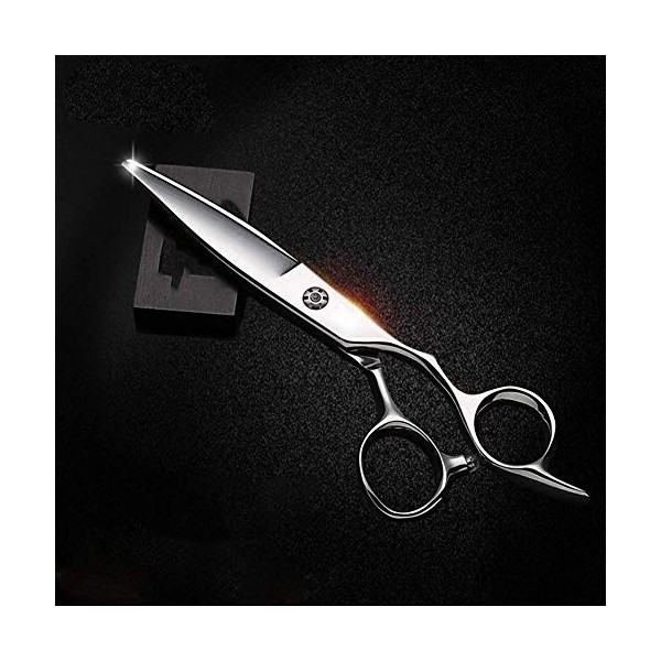 Ciseaux de Coupe de Cheveux Professionnels de Haute qualité – Ciseaux de Coiffeur 6,0" pour Couper 9CR pour Coiffeur et Salon