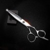 Ciseaux de Coupe de Cheveux Professionnels de Haute qualité – Ciseaux de Coiffeur 6,0" pour Couper 9CR pour Coiffeur et Salon