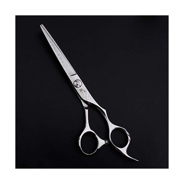 Coiffure Coiffeur Ciseaux De Coiffure Professionnel 440C Coupe De Cheveux Ciseaux Amincissants Plat Dents Ciseaux Set 6.0 Pou