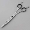 DYTWXG Ciseaux de Coiffeur Professionnels Coupe de Cheveux Ciseaux de Coiffeur de Coiffeur-6.0"-1 Ciseaux de Cheveux à Bord D