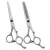 6,0 Pouces Professionnel Coiffure Barber Scissor Set Dents Plates en Acier Au Japon Ciseaux Amincissants Ciseaux Combinaison 