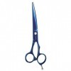 Haar-Schere 5,5" Xenox Blue Gold Line Haarschneideschere