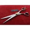 Ciseaux Coiffeur Fuji More-z MF 65 16,5 cm