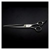 NC Ciseaux de Coiffure Ciseaux de Coiffure de 7,5 Pouces, Ciseaux de beauté, Ciseaux Plats, Ciseaux Amincissants Outils de ba