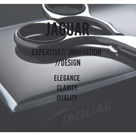 Jaguar Gold Line Goldwing 34 Ciseaux de coiffure, 14 cm de long, 0,1 kg