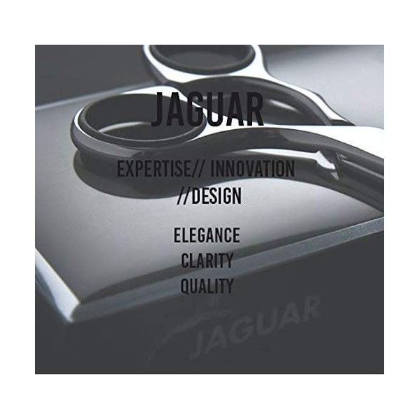 Jaguar Gold Line Goldwing 34 Ciseaux de coiffure, 14 cm de long, 0,1 kg