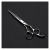 DYTWXG Soins des Cheveux, Ensemble de Ciseaux de Coiffure de 6 Pouces Style de Coupe de Cheveux/Ciseaux de Coiffure clairsemé