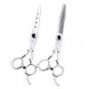 Outils de coupe des cheveux 6 pouces salon de coiffure professionnel ensemble de coiffure ciseaux plats + ciseaux à dents hau