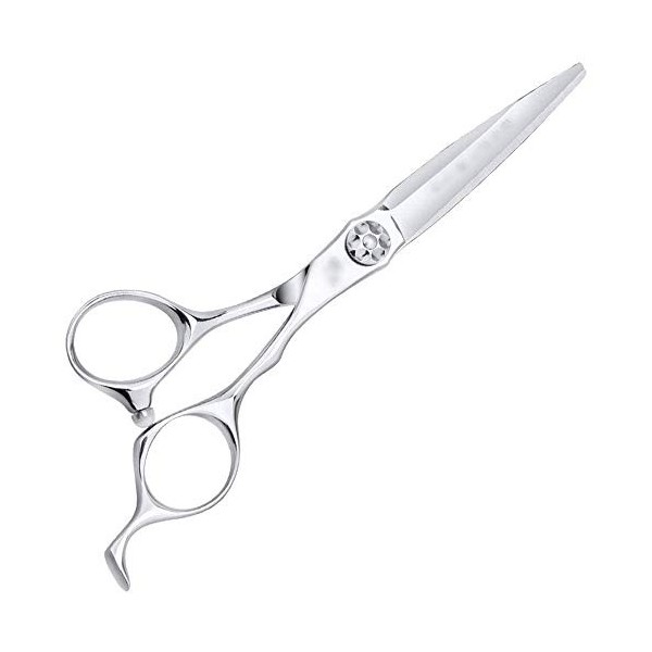 6 Inch Hairdresser Professional Haircut Flat Shear Fine Mirror Polishing Flat Shear Scissors Color : Silver Hair Cutting