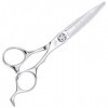 6 Inch Hairdresser Professional Haircut Flat Shear Fine Mirror Polishing Flat Shear Scissors Color : Silver Hair Cutting