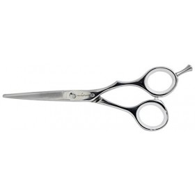 Ciseaux de Coiffure Togiya Global Series GSC-55