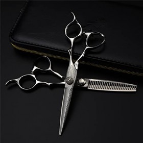 leybold Ciseaux De Coiffure Professionnels, Kit De Ciseaux À Couper Les Cheveux De 6,0 Pouces, Ciseaux De Ciseaux De Coiffure