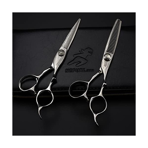 leybold Ciseaux De Coiffure Professionnels, Kit De Ciseaux À Couper Les Cheveux De 6,0 Pouces, Ciseaux De Ciseaux De Coiffure