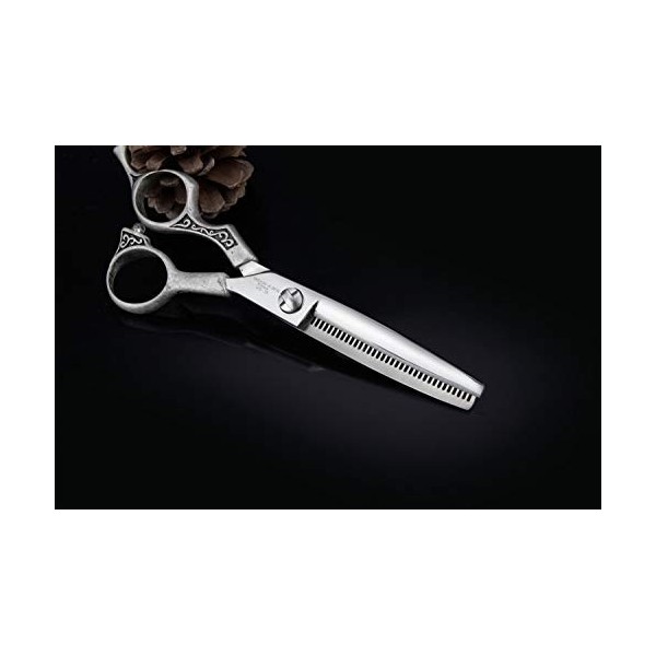 DYTWXG Ciseaux de Coupe de Cheveux, kit de cisailles à effiler, Ensemble de Ciseaux de Coiffeur Professionnel, idéal pour Les