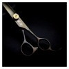 Ciseaux de coupe de cheveux Ciseaux de coiffure de 7 pouces, ciseaux de beauté, ciseaux de barbier, coupe plate, coupe clairs