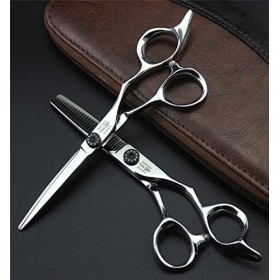 Ciseaux De Cisaillement De Coiffure En Acier En Acier Inoxydable De 6,0 Pouces, Ensembles De Ciseaux De Coupe De Cheveux De S