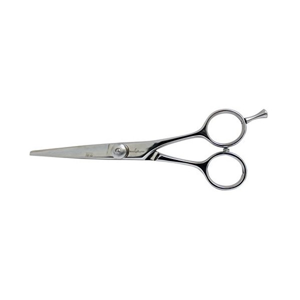 Ciseaux de Coupe pour Coiffure Togiya Classic Series CPM-55