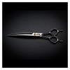 Générique Cisailles pour la Coupe de Cheveux Cisailles Pliantes de 7,5 Pouces, cisailles de beauté, cisailles de barbier, kit