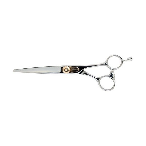 Ciseaux de Coupe pour Coiffure Professional Series PCP-65 R