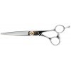 Ciseaux de Coupe pour Coiffure Professional Series PCP-65 R