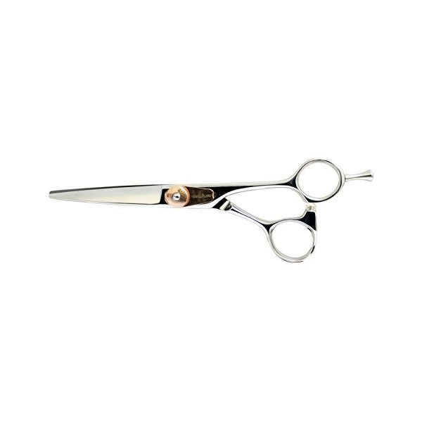 Ciseaux de Coupe pour Coiffure PCP 55 Professional Series-R