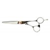 Ciseaux de Coupe pour Coiffure PCP 55 Professional Series-R