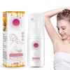 2023 New Gentle Beeswax Hair Removal Mousse - Beeswax Mousse Hair Removal Spray,Natural Permanent Gentle Hair Removal Spray,E